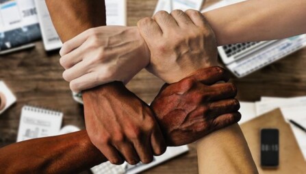 team 4200837 pixabay Living Diversity Network 22